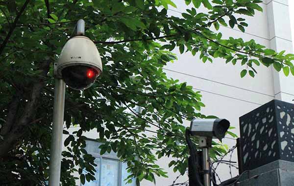 1640081217848666.jpg 4.jpg